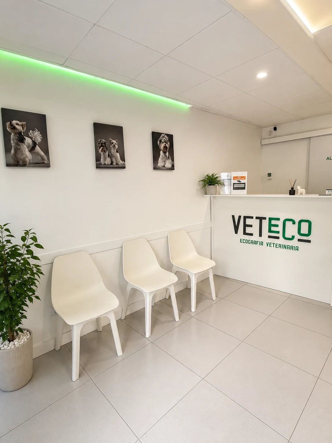 Recepción y sala de espera